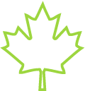 Maple Leaf